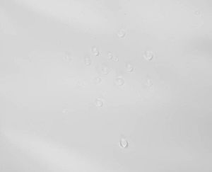 Iso Trade Torba piknikowa termiczna 10