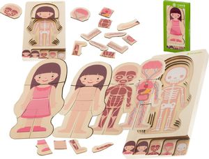 KIK Puzzle drewniane ciało anatomia dziewczynka 1