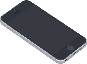 Smartfon Apple iPhone SE 2/32GB Szary Klasa A- (DX4W2X8SHTVL) 5