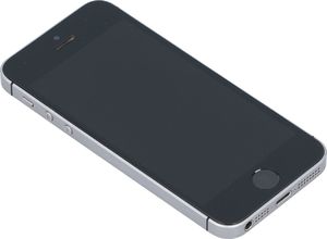 Smartfon Apple iPhone SE 2/64GB Szary Klasa A- (F17SDKKWH2XN) 5