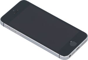 Smartfon Apple iPhone SE 2/64GB Szary Klasa A- (DX4T25H1H2XN) 5