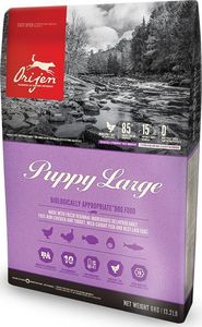 Orijen ORIJEN Puppy Large 6kg 1