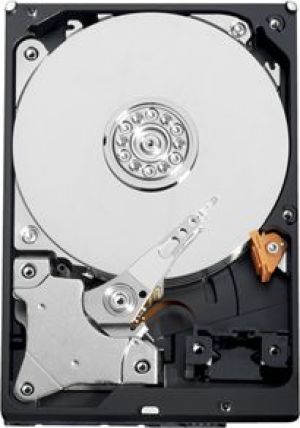 Dysk WD AV-GP 500GB 3.5" SATA III (WD5000AURX) 5
