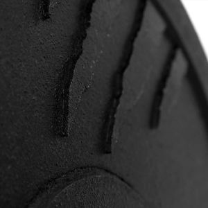 Tiguar Talerz bumper 10 kg V2 7