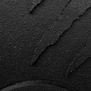 Tiguar Talerz bumper 15 kg V2 4