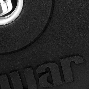 Tiguar Talerz bumper 20 kg V2 6