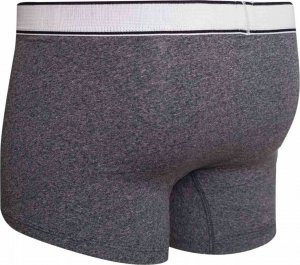 Levi`s Levi's Boxer 2 Pairs Briefs 37149-0398 szary M 8