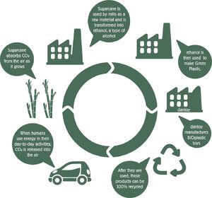 Dantoy Sanki Bio 3+ 7