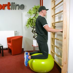 inSPORTline Drabinka gimnastyczna Steadyline 215x90 cm 10