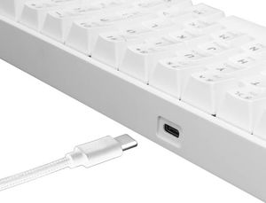 Klawiatura White Shark Shinobi Outemu Red (3301-uniw) 4