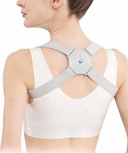 Aptel BQ23B KOREKTOR WAD POSTAWY ALARM PAJĄCZEK SZARY 2