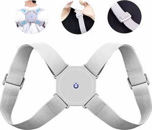 Aptel BQ23B KOREKTOR WAD POSTAWY ALARM PAJĄCZEK SZARY 5