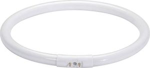 Paulmann ŚWIETLÓWKA OKRĄGŁA T5 22W 2GX13 225MM CIEPŁA BARWA PL88448 PAULMANN 1