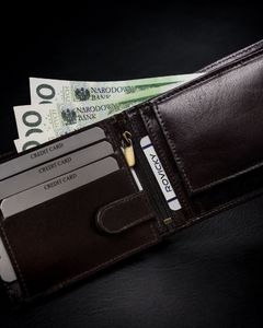 Rovicky Cienki portfel męski z naturalnej skóry licowej ze schowkiem na suwak Rovicky Nie dotyczy 10