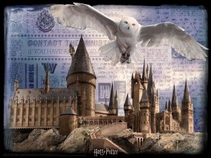 Wizarding World Harry Potter: Magiczne puzzle - Hedwiga w locie (500 elementów) 26