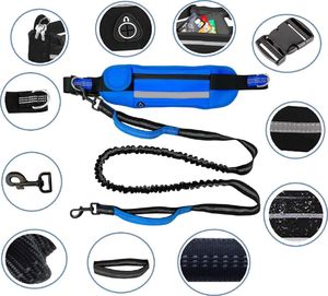 Fit4Med Pas Biodrowy Ze Smyczą Elastyczna Biegania Z Psem 3