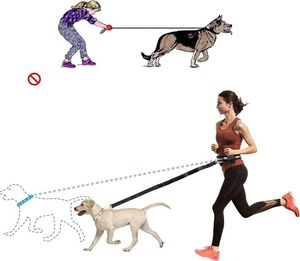 Fit4Med Pas Biodrowy Ze Smyczą Elastyczna Biegania Z Psem 8