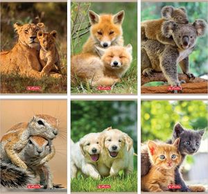 Herlitz Zeszyt A5/32K, linia podwójna, Animals (10szt) 2
