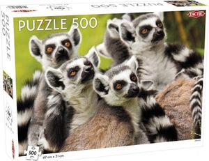Tactic Puzzle 500 Animals: Lemurs 1
