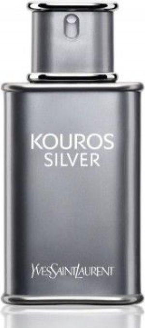 Yves Saint Laurent Kouros Silver EDT 100 ml 2