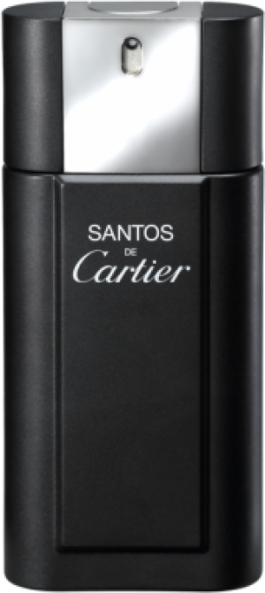 Cartier Santos de Cartier EDT 100 ml 1