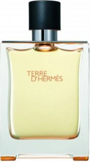 Hermes Terre d'Hermes EDT 100 ml 1
