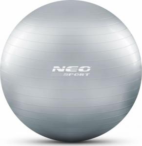 Neo-Sport Piłka do ćwiczeń 65 cm NS-951 srebrna 3