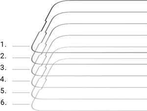 Nillkin Nillkin Cp+Pro Ultracienkie Szkło Hartowane Na Cały Ekran Z Ramką 0,2 Mm 9H Iphone 13 Mini Czarny 12