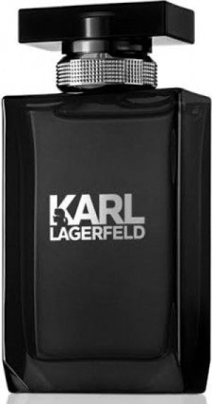 Karl Lagerfeld For Him EDT 100 ml 2