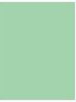 Rimmel  Salon Pro Kate Lakier do paznokci 241 Green Dragon 12ml 2