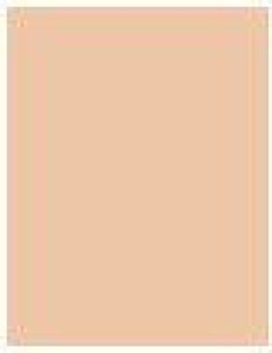 MAX FACTOR Pan Stik Foundation podkład w sztyfcie 13 Nouveau Beige 9g 2