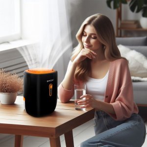 Maltec Osuszacz powietrza  DH-800 4