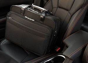 Torba McKlein Walton 17" 20