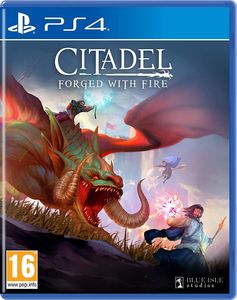 Citadel: Forged with Fire PS4 1