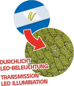 Bresser Bresser - Mikroskop 40x-640x Junior pomarańczowy w walizce 7