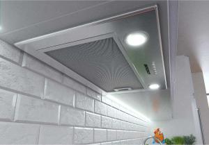 Okap Berdsen BE-50 6