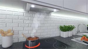 Okap Berdsen BE-50 4