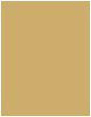 Shiseido Luminizing Lip Gloss YE505 Sunlight 7,5ml 2