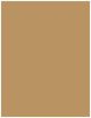 Shiseido Natural Finish Cream Concealer 04 Dark 10ml 2