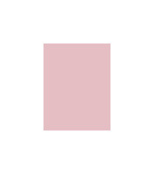Astor  Eye Artist Shadow Color Waves W 4g 600 Delicate Pink 1