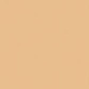 Bourjois Paris 123 Perfect Foundation 16 Hour 54 Beige 30ml 2