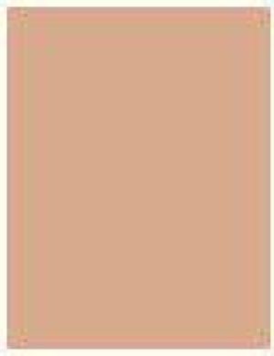 L’Oreal Paris True Match Powder Puder w kamieniu W5 Golden Sand 9g 2