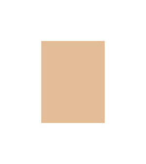 L’Oreal Paris True Match Super Blendable Powder W 9g D3-W3 Golden Beige 2