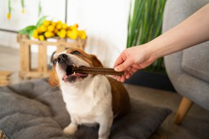 Josera Denties z kaczką i marchewką 4 x 180g 12