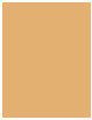 L’Oreal Paris Infallible Make-Up 24H Podkład 260 Golden Sun 30ml 2