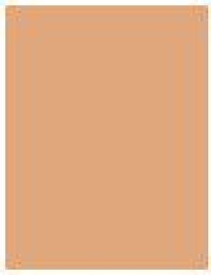 Collistar Cream-Powder Compact Foundation SPF10 01 Alabaster 9g 2