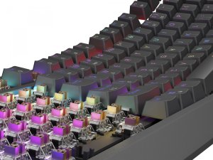 Mysz Genesis ZIRCON 500 WIRELESS (NMG-2113) + Klawiatura Thor 230 TKL Outemu Brown 27