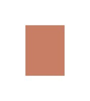 Clinique True Bronze Pressed Powder Bronzer 03 Puder w kamieniu 03 Sunblushed 9,6g 3