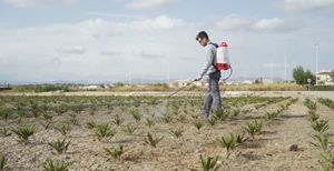 PULMIC PULMIC PEGASUS 15 INDUSTRIAL VITON OPRYSKIWACZ AKUMULATOROWY PLECAKOWY CIŚNIENIOWY TŁOKOWY 15L. 7