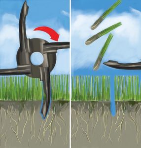 Weibang Aerator Spalinowy Do Trawy Rurkowy Silnik B&S Briggs & Stratton (WB457AB/45 cm) 4